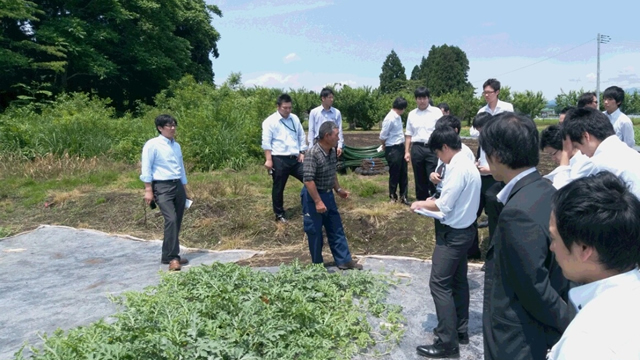 農産物の契約栽培